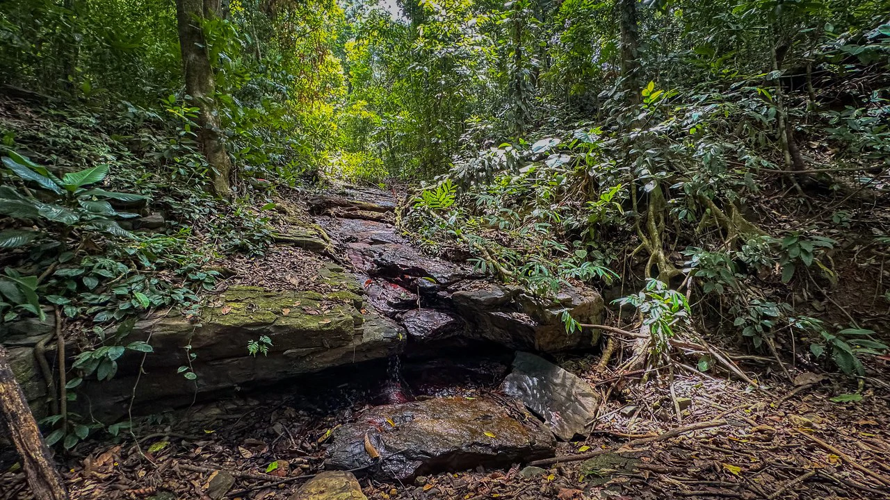 136 Acres of Oceanview Land with Multiple Building Sites | A Rare Development Opportunity in Costa Rica - Gallery image 3