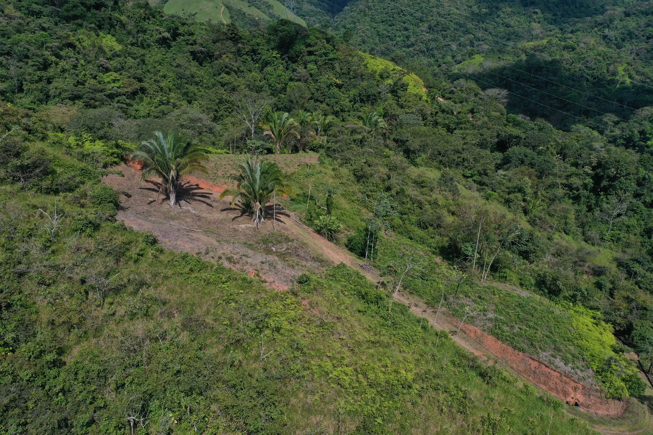 12 Acre Ocean View Farm in a Private Agricultural Community - Gallery image 21