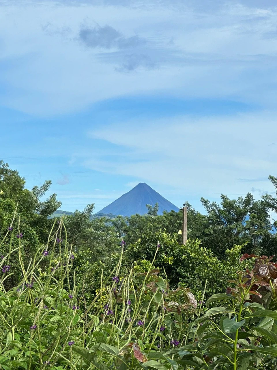 Lake Arenal Multi Family Home - Only 300 m from Lake Arenal - Gallery image 8