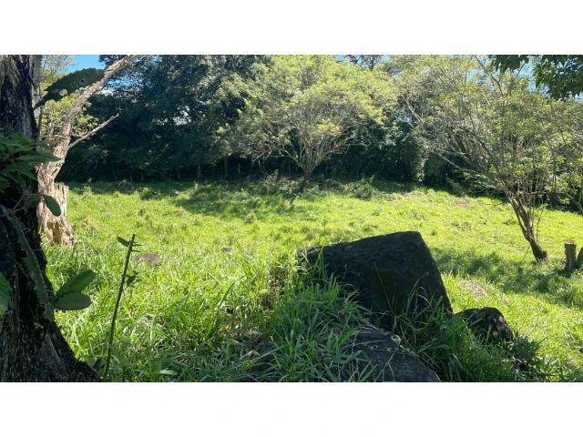 Nature Paradise Farm for sale in the mountains of Quebrada Grande, Building potential property 30 minutes away from Liberia - Gallery image 28