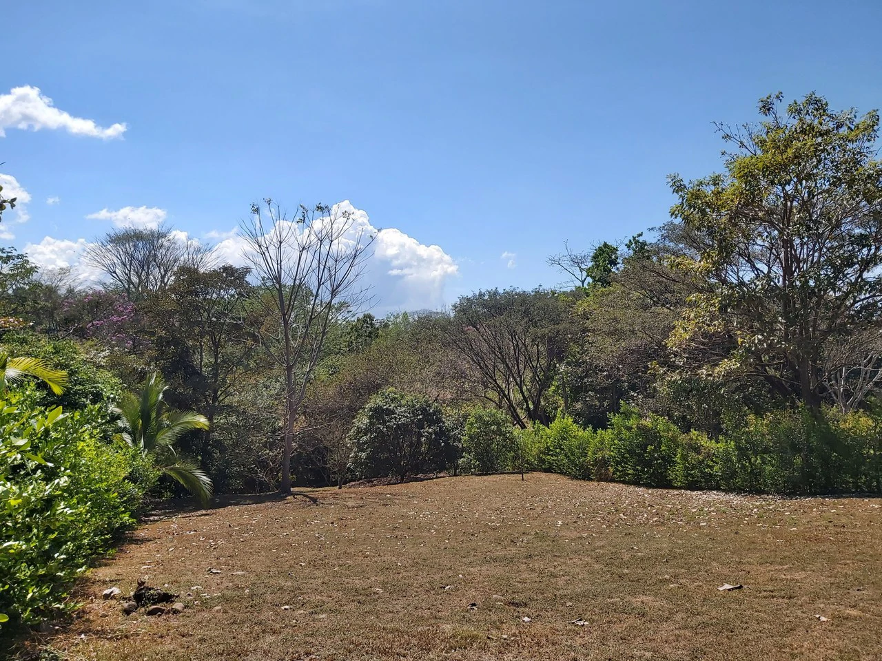 Countryside and Mountain Home Construction Site For Sale in San Juan de Mata - Gallery image 17