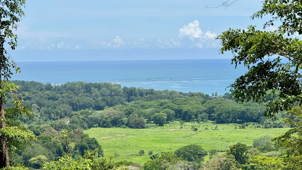 Exclusive and Unique Ocean Views lot in the Hills of Uvita! - Gallery image 9