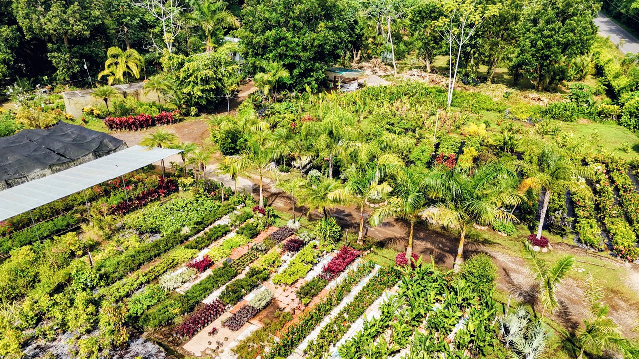 Finca en Barú: Near the Coast and Riverfront Agricultural Land For Sale in Barú - Gallery image 5