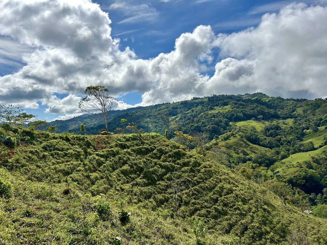 Finca Ceibo Memo: Mountain Home Construction Site For Sale in San Isidro del General - Gallery image 32