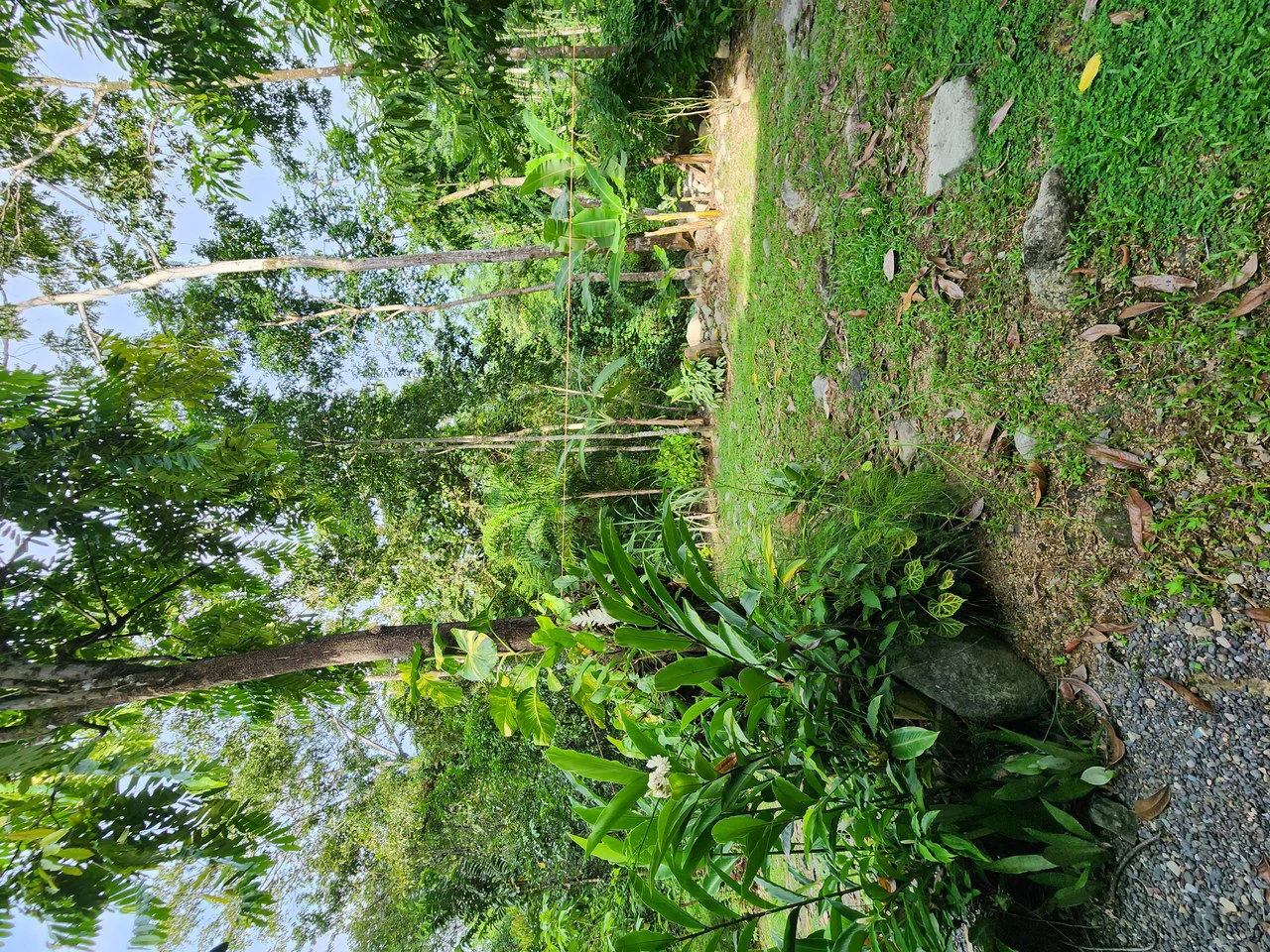 FOR SALE IN UVITA HOUSE WITH STUDIO APARTMENT AND RIVER ACCESS - Gallery image 20
