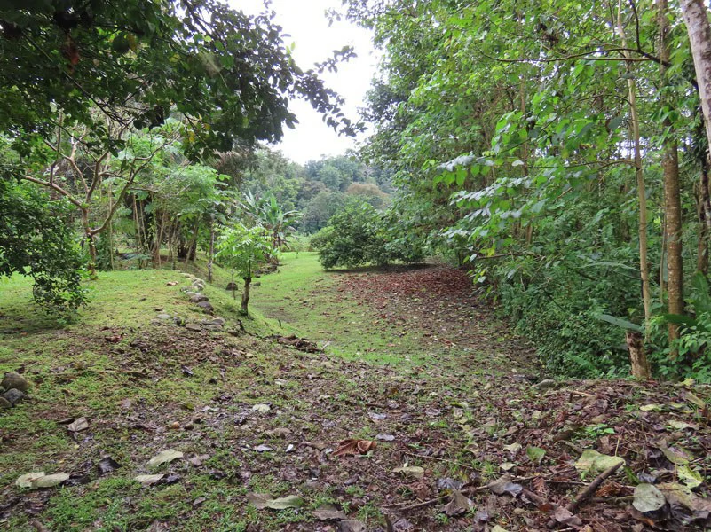 Land For Sale in Dos Brazos, Puerto Jimenez, Ideal For Home Surrounded by Nature - Gallery image 11