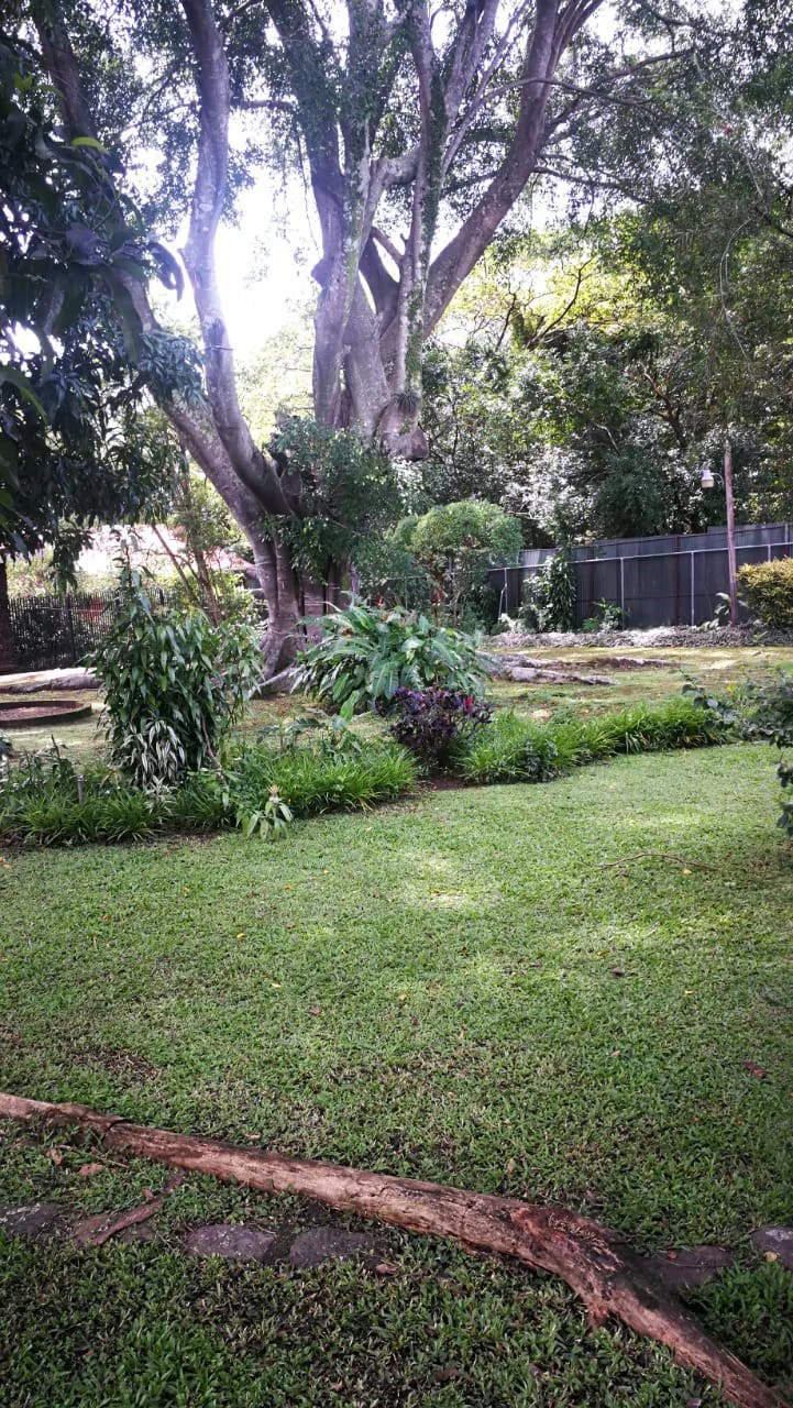 Home Construction Site For Sale in Escazú - Gallery image 7