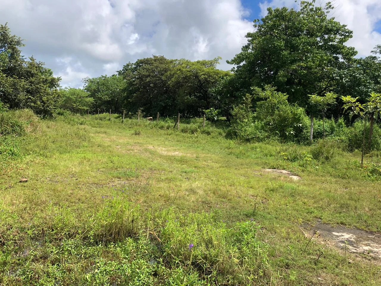 Development property for sale, Building project opportunity close to Liberia Airport and City with beautiful Flat property - Gallery image 8