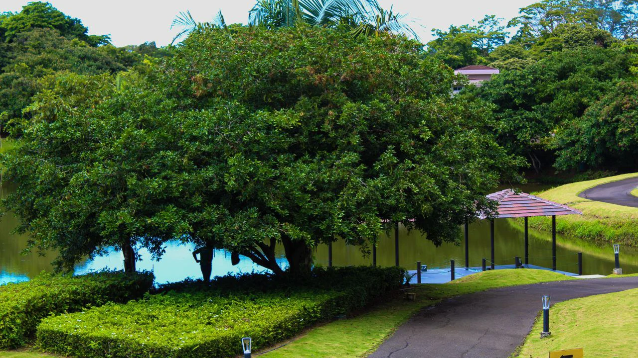 12D L: Exclusive 3BR Condo for Sale in the Most Exciting Beach Community in the Costa Rica Central Pacific! - Gallery image 11