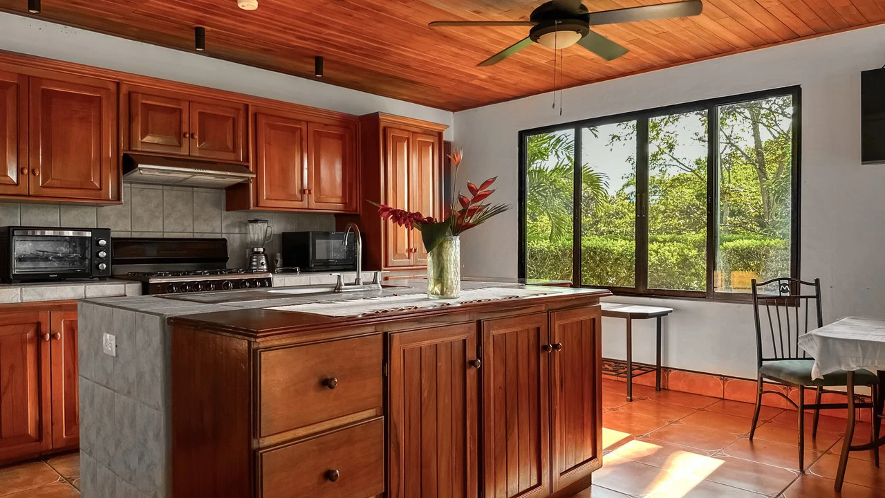 MOUNTAIN VIEW PARADISE WITH PRIVACY - 5 MINUTES AWAY FROM THE BEACH AND AMENITIES: Mountain House For Sale in Ojochal - Gallery image 5