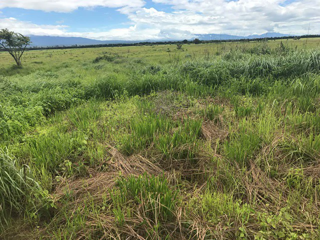 Large Development Land for Sale in Liberia, Guanacaste, Costa Rica - Gallery image 50
