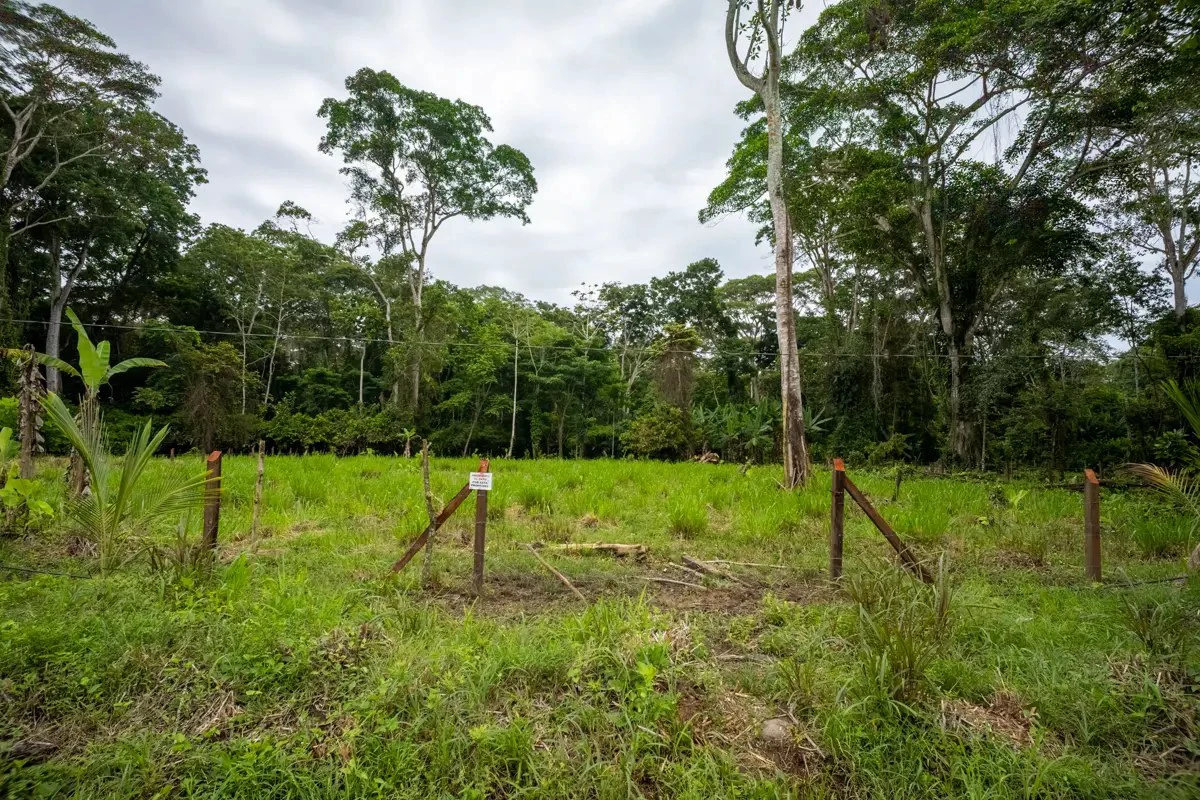 ID 1134: 3960m² Flat Development Lot Near Cahuita, Costa Rica - photo 3