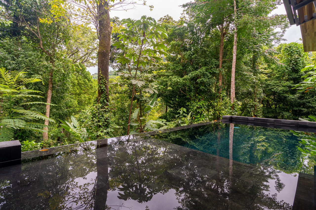 Casa Selva Vida, Uvita Costa Rica: Mountain House For Sale in Uvita - Gallery image 28