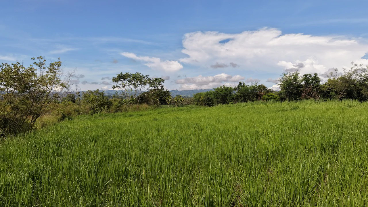 Home Construction Site For Sale in El Pilar - photo 6