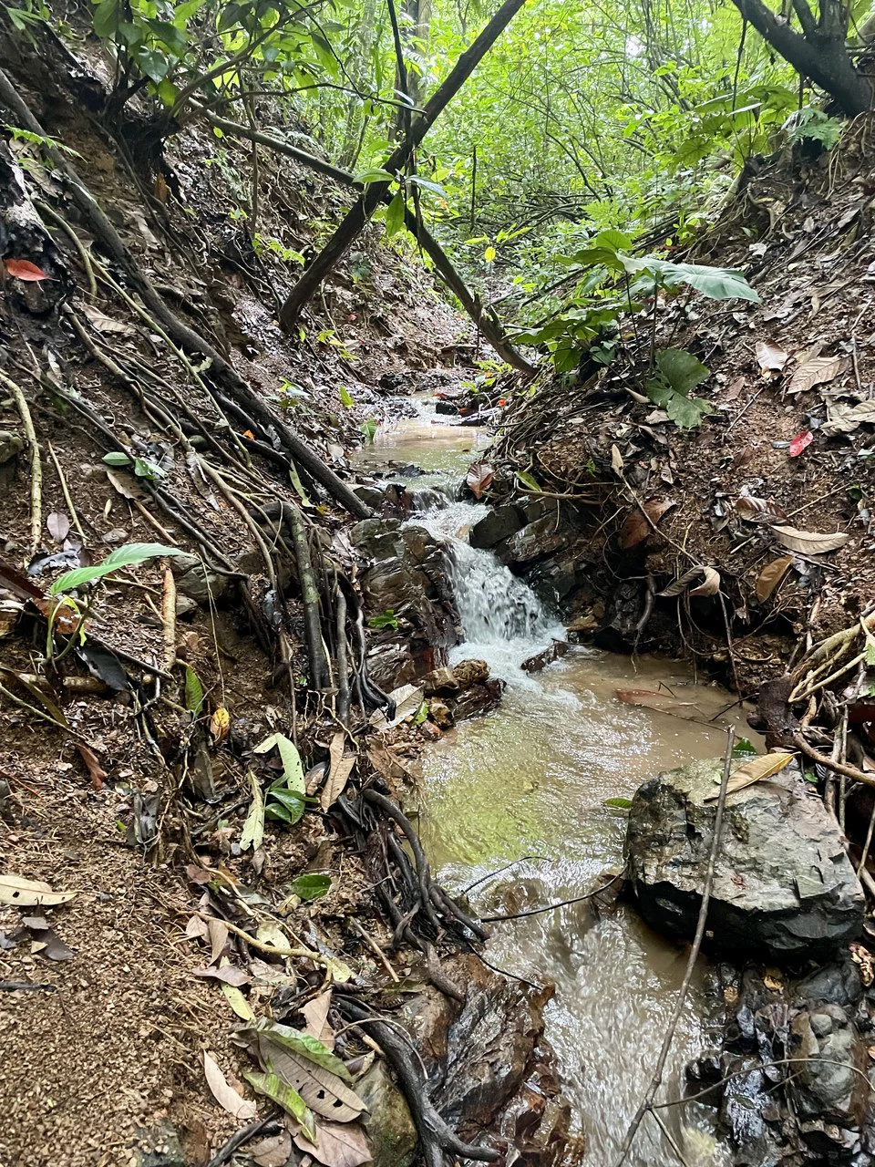 TROPICAL MASTERPIECE – 61.78 ACRES OF OCEANVIEW BLISS WITH WATERFALL: Mountain Development Parcel For Sale in Tres Rios - Gallery image 8
