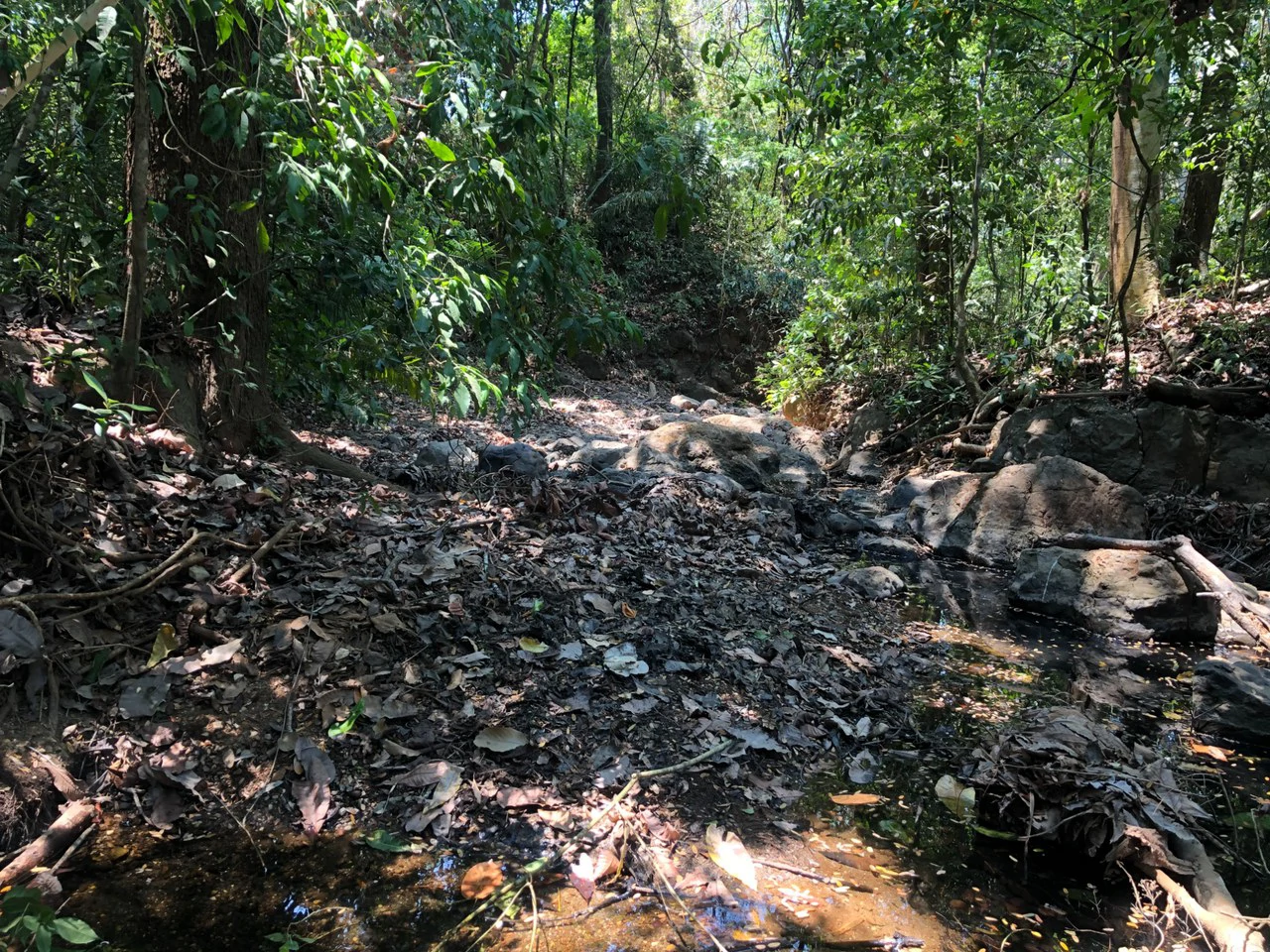 Prime Real Estate Opportunity, Lot with Creek Border in Santo Domingo hills - Gallery image 4