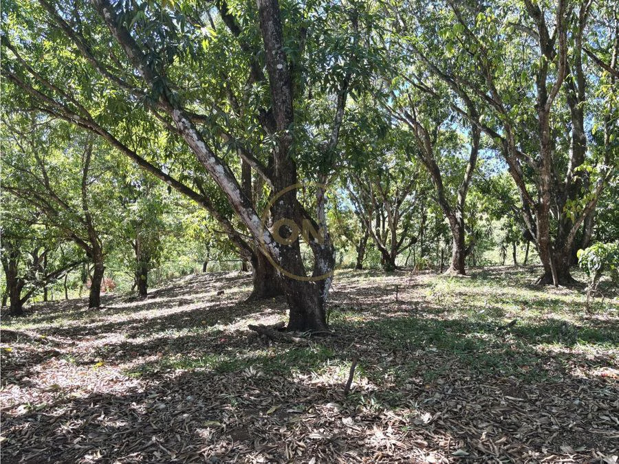 FOR SALE / Land in Coyolar, Orotina, Alajuela - photo 8