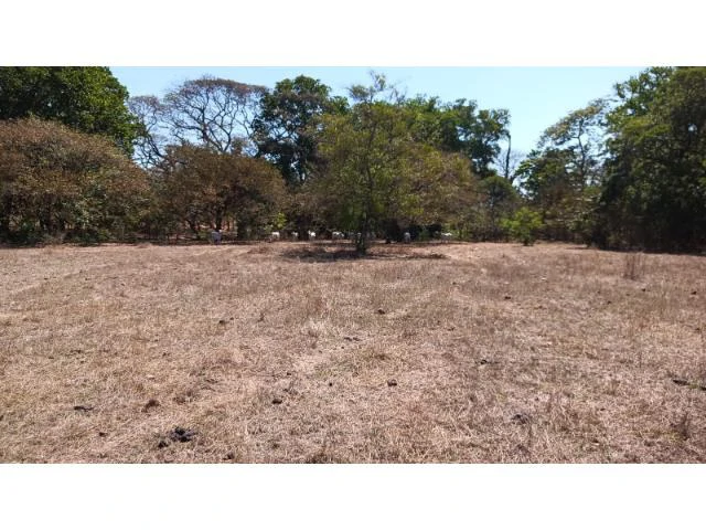 3 Flat topography properties for sale near Playas del Coco, Great building potential in the province of Guanacaste - Gallery image 20
