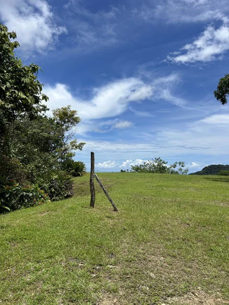 Panoramic 180 Degree Ocean View Lot Ready To Build Close To Ojochal - Gallery image 14