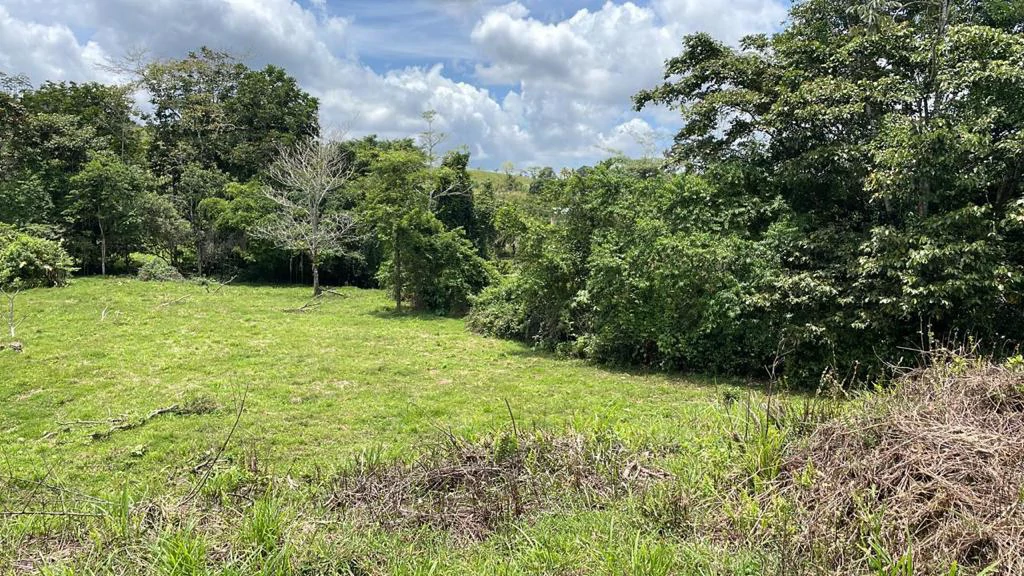 Building potential property for sale, beautiful land in the pure nature close to Bijagua - Gallery image 5