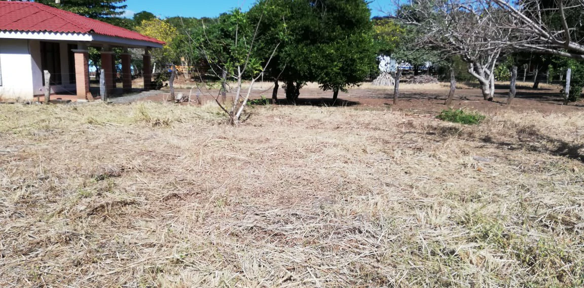 Property in Coco Beach - Gallery image 11