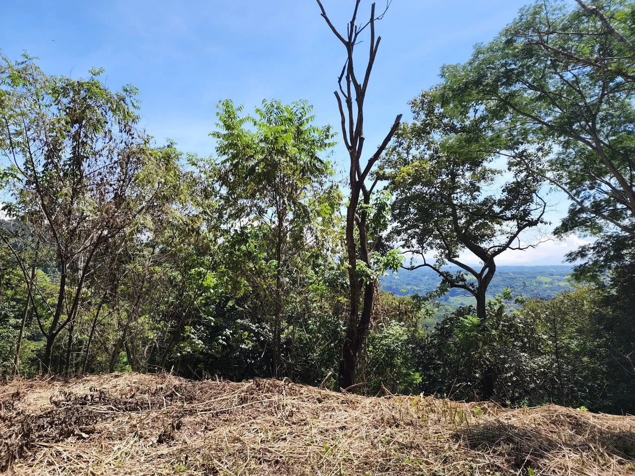 Countryside Home Construction Site For Sale in Atenas - Gallery image 22