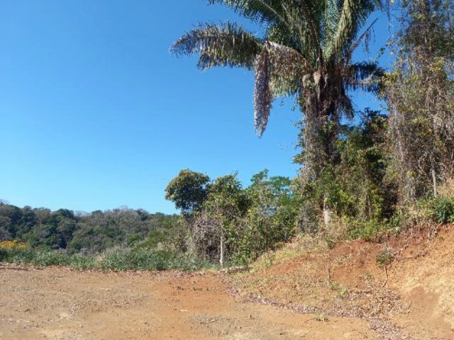 Building Lots for sale in a pristine and peacefull woodland 3 km from Samara Beach - Gallery image 3