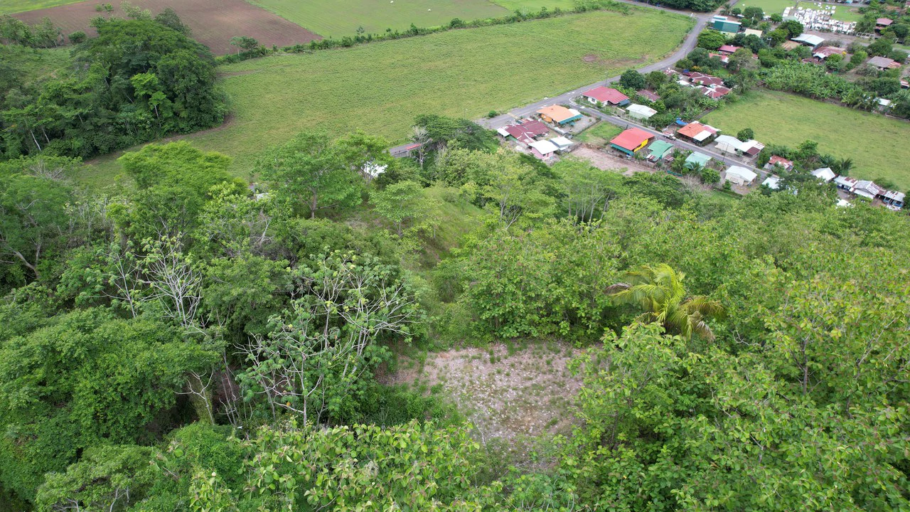 Finca Linda vista: Property for sale with flat land and small mountain with terrace to build and incredible views - Gallery image 4