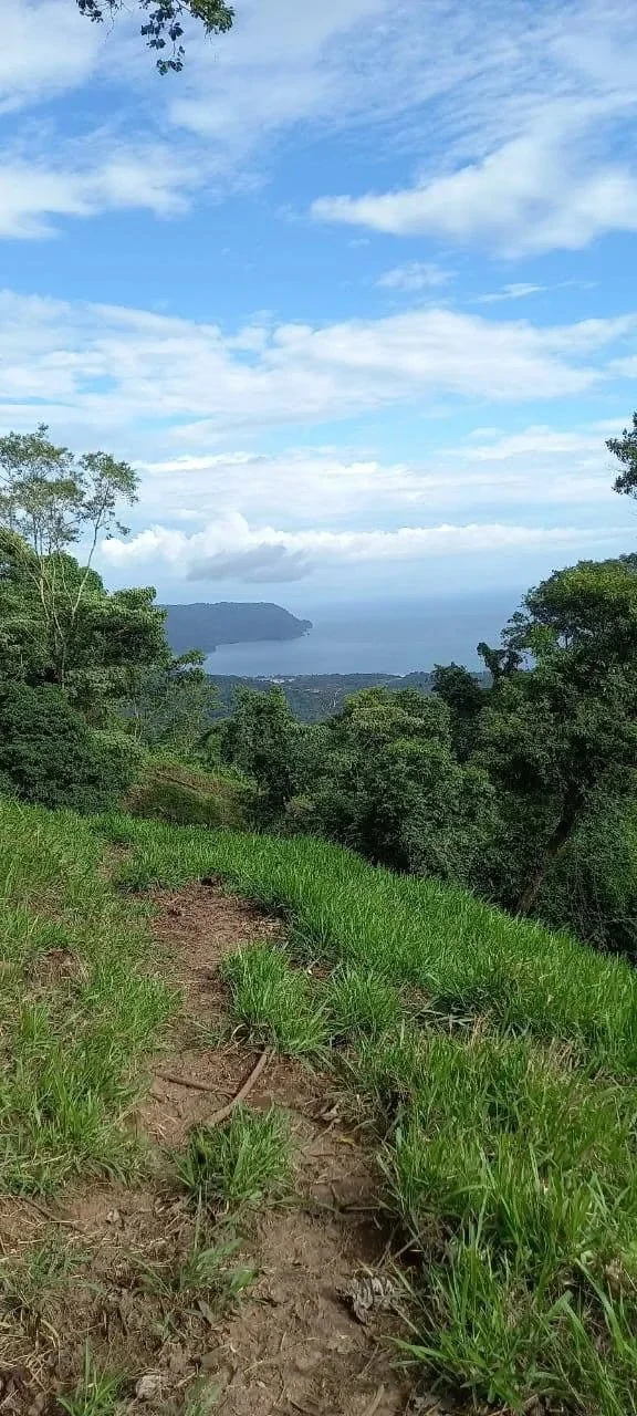 58 hectares: Ocean View Development Land for Sale in Tambor Costa Rica – 58 Hectares on the Nicoya Peninsula - Gallery image 2