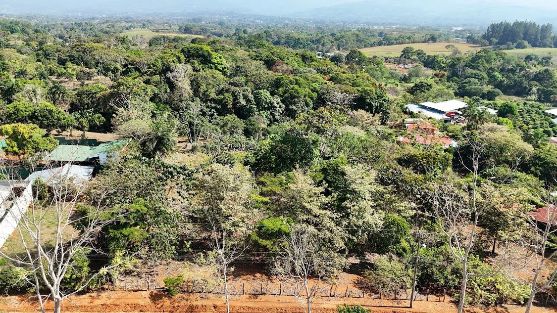 Home Construction Site For Sale in La Ceniza - Gallery image 7