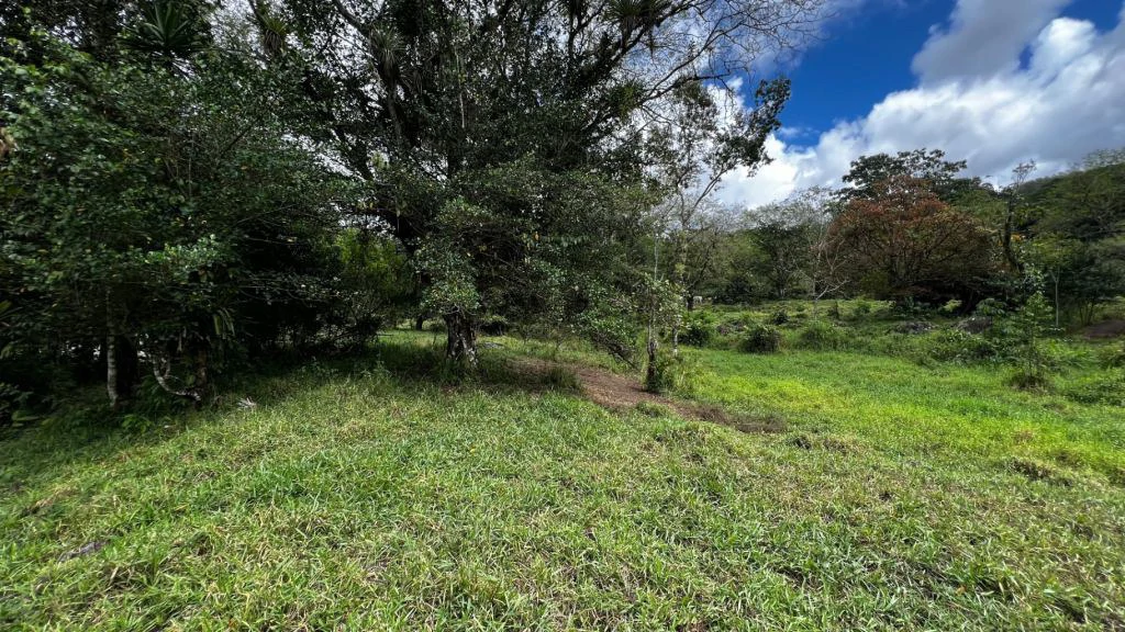 Mountain Home Construction Site For Sale in San Isidro del General - photo 2