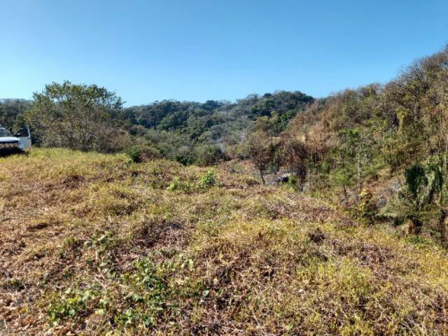 Building Lots for sale in a pristine and peacefull woodland 3 km from Samara Beach - Gallery image 4