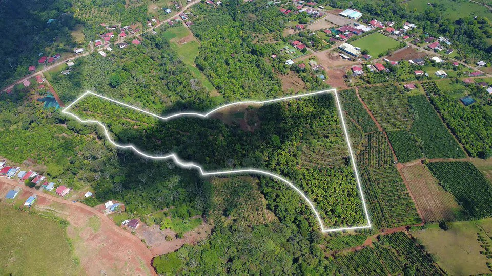Countryside Agricultural Land For Sale in Pueblo Nuevo