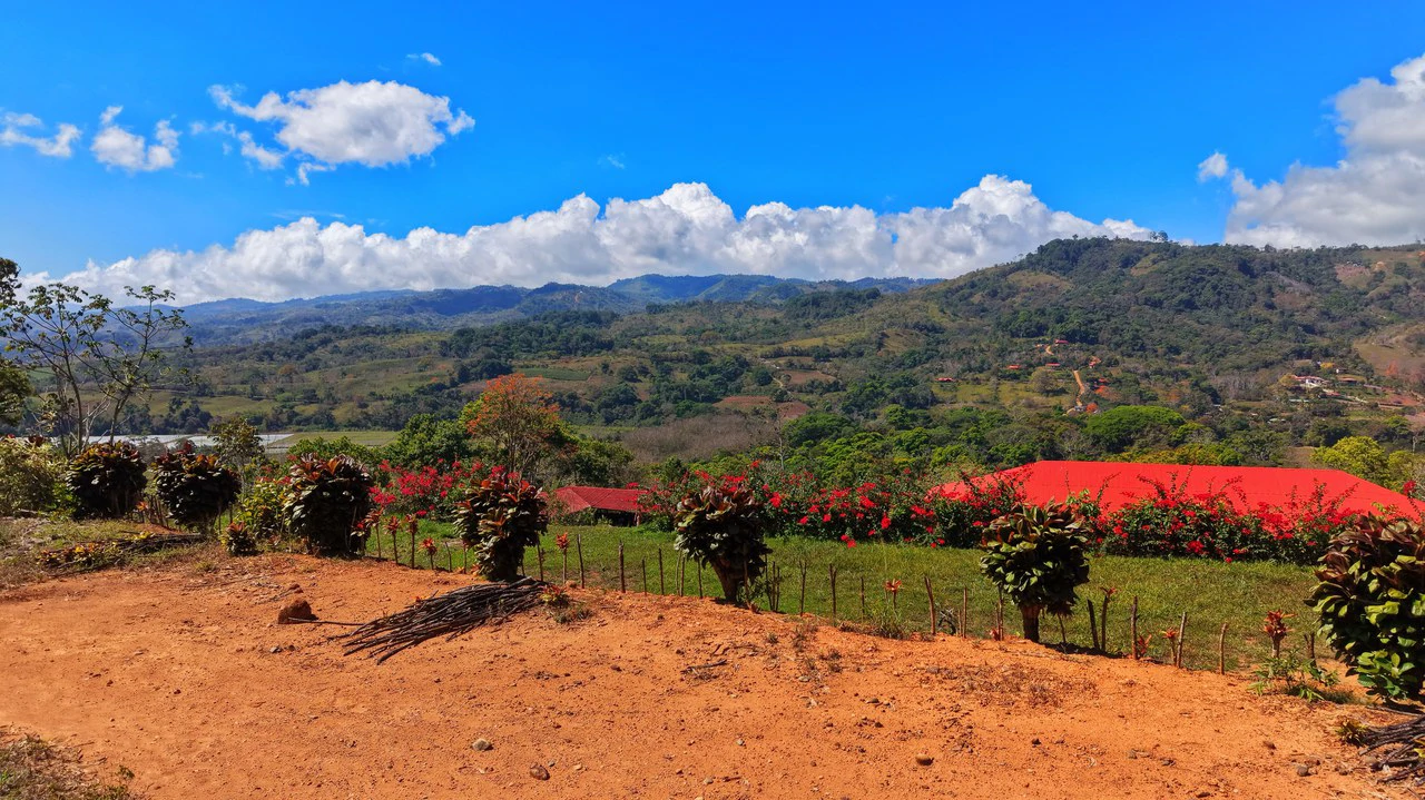 Agricultural Land For Sale in Daniel Flores - Gallery image 25