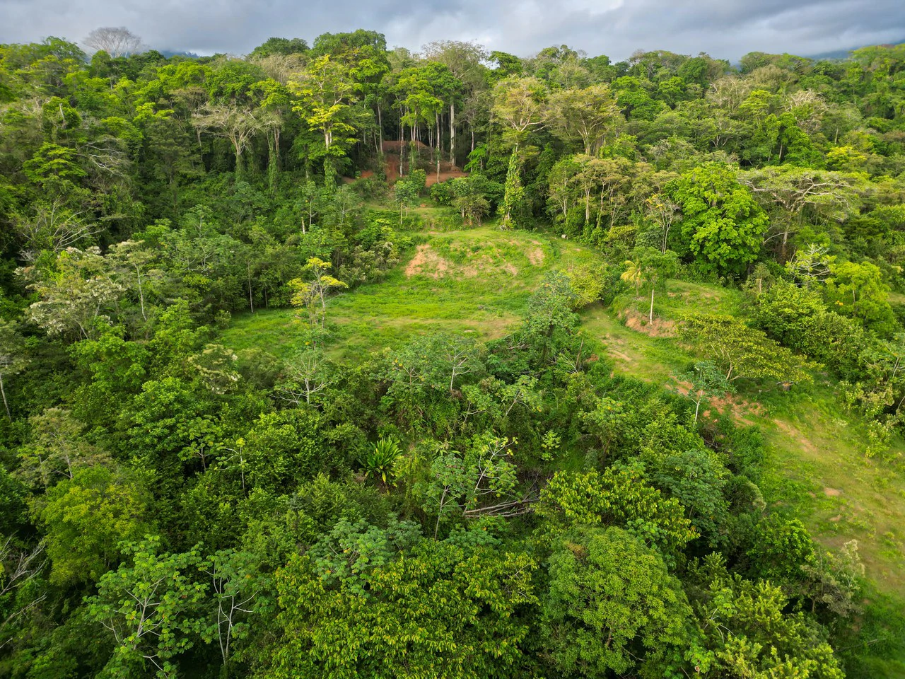 Build Your Vision in Uvita – 15.9 Ocean View Acres with Easy Access + Utilities Ready! - Gallery image 8