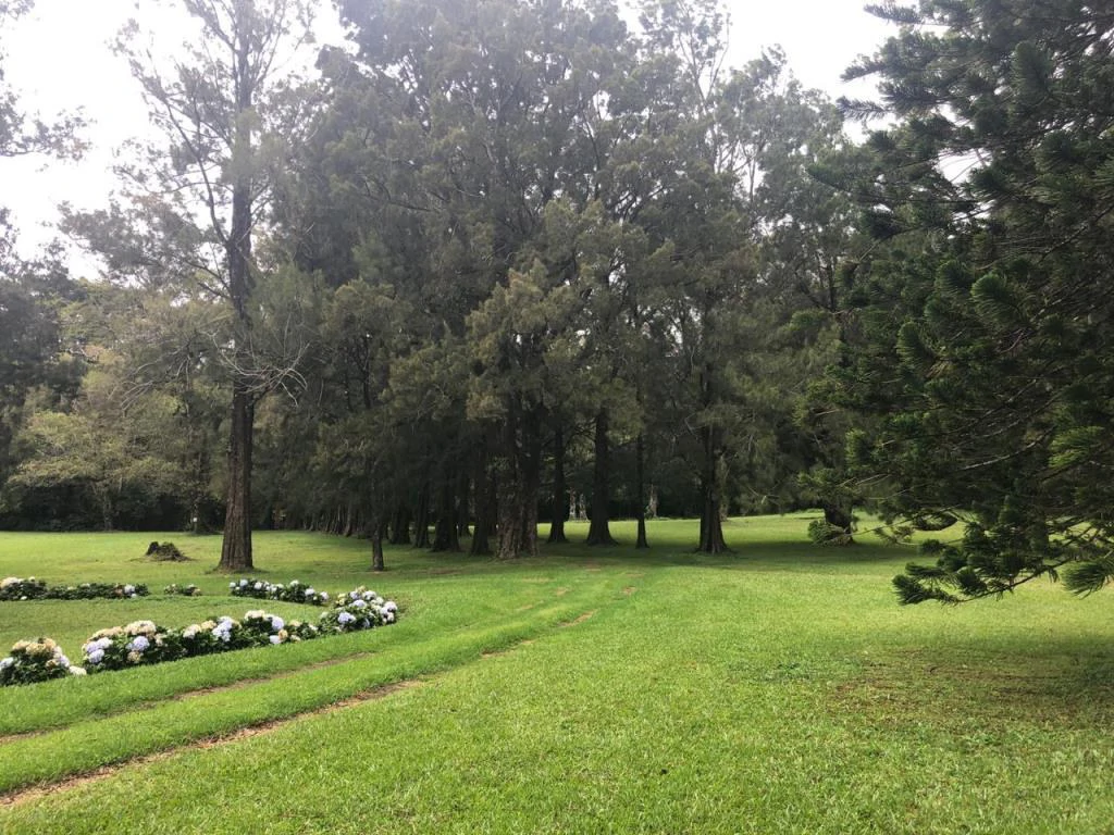 Horse ranch mountain farmland with its own stable's in San Rafael, Heredia - Gallery image 2
