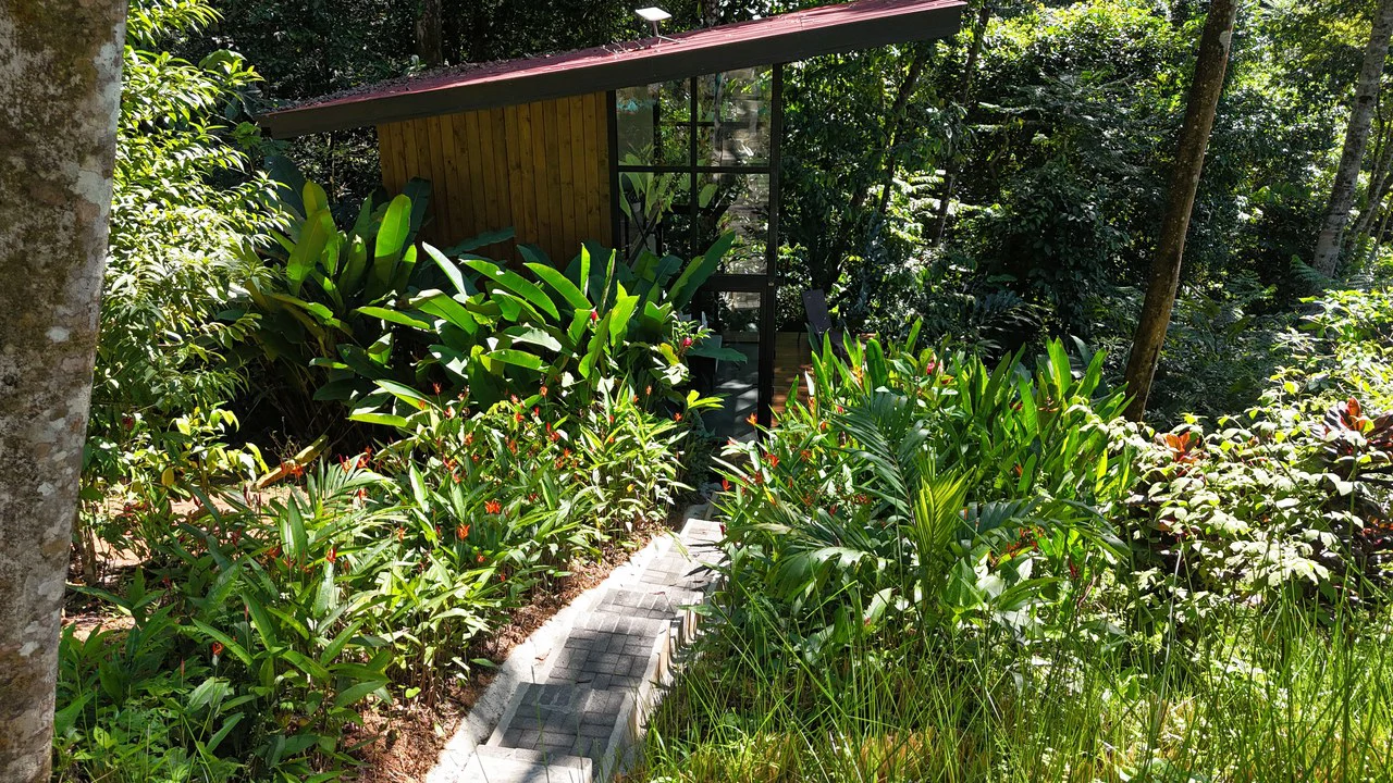 1.7 Acres Ocean View Lot with Producing Cabin in Uvita - Gallery image 12