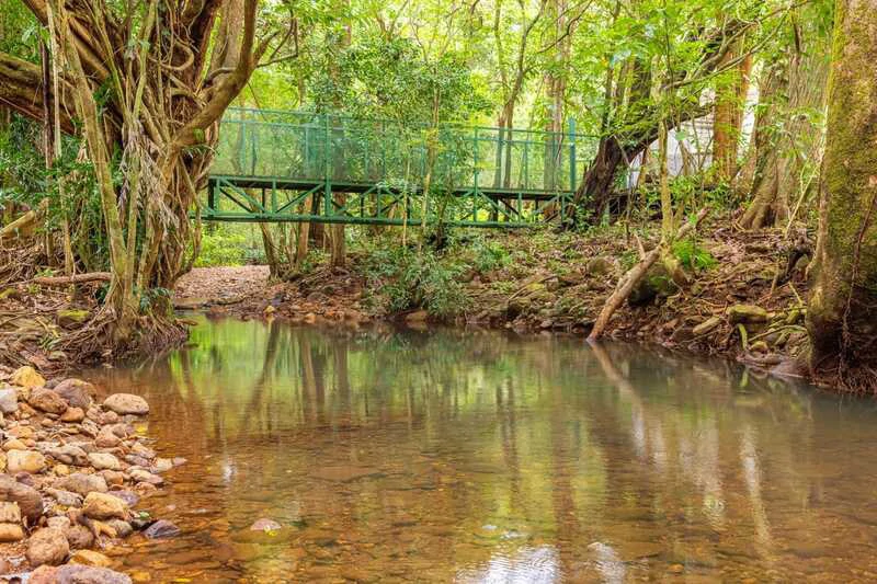SAN MATEO PROPERTY: Riverfront and Mountain House For Sale in San Mateo de Alajuela - Gallery image 19