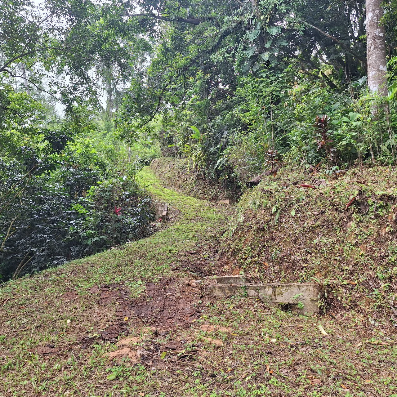 Tropical Paradise with Breathtaking Diamate Waterfall Views - Gallery image 5