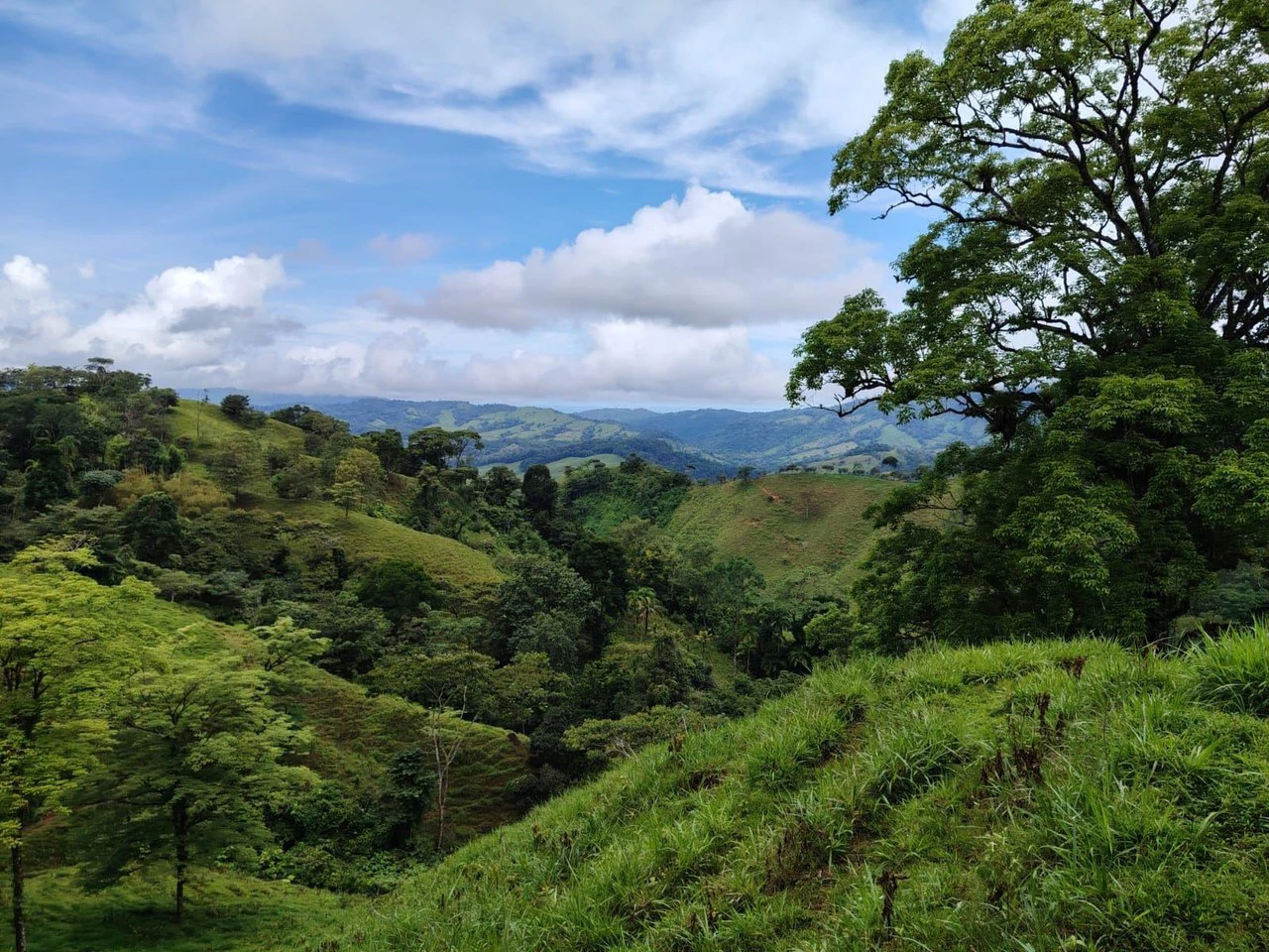 Se vende 39ha en Barú, Perez Zeledón: Mountain Home Construction Site For Sale in Barú - Gallery image 15