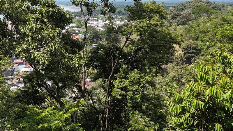 Luxury Gated Ocean-View Land Minutes from Manuel Antonio National Park and Marina - Gallery image 10