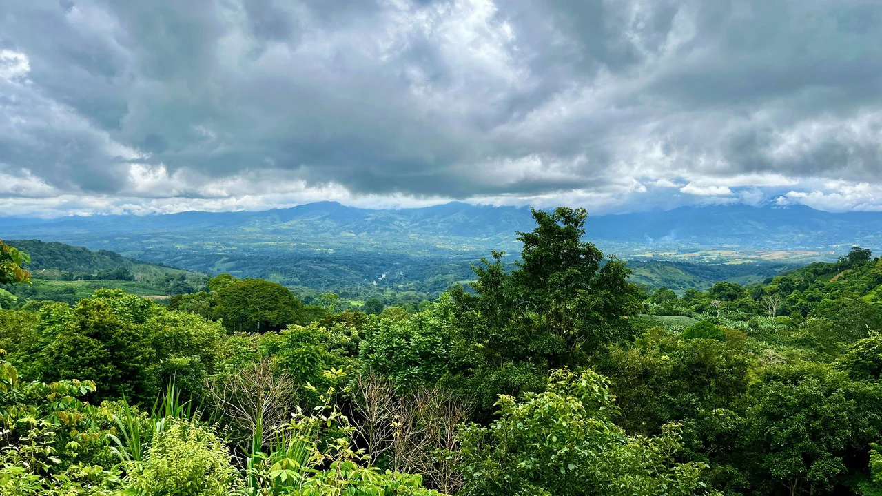 FINCA CON CASA Y MIRADOR: Mountain Agricultural Land For Sale in La Amistad - Gallery image 11
