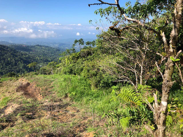 1.24 ACRES – Alto de San Juan, TOP OF THE WORLD VIEWS, Cool Breezes, Ready to Build Your Dream!!!!!: Mountain Development Parcel For Sale in Alto San Juan - Gallery image 18