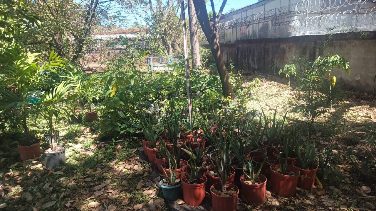 Prime Lot, very close to the beach for sale in the center of Playas del Coco