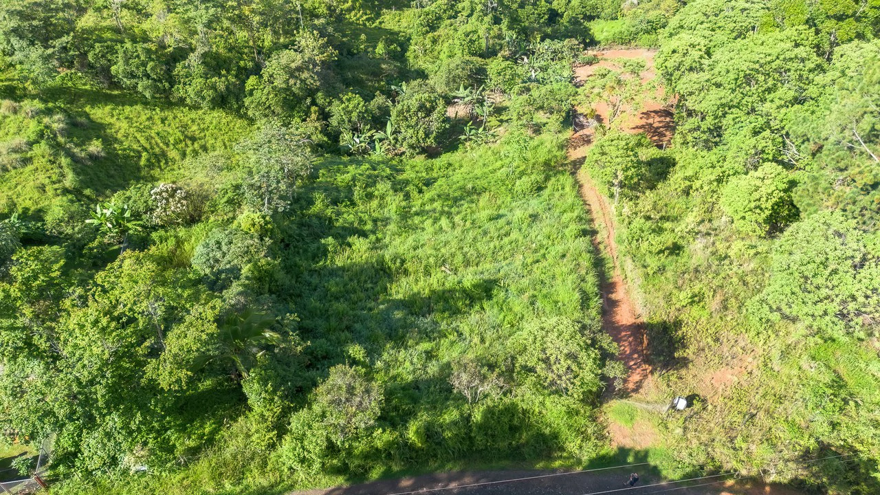 Valley View Lot in Quebradas, Pérez Zeledón.: Mountain Home Construction Site For Sale in Quebradas - Gallery image 7