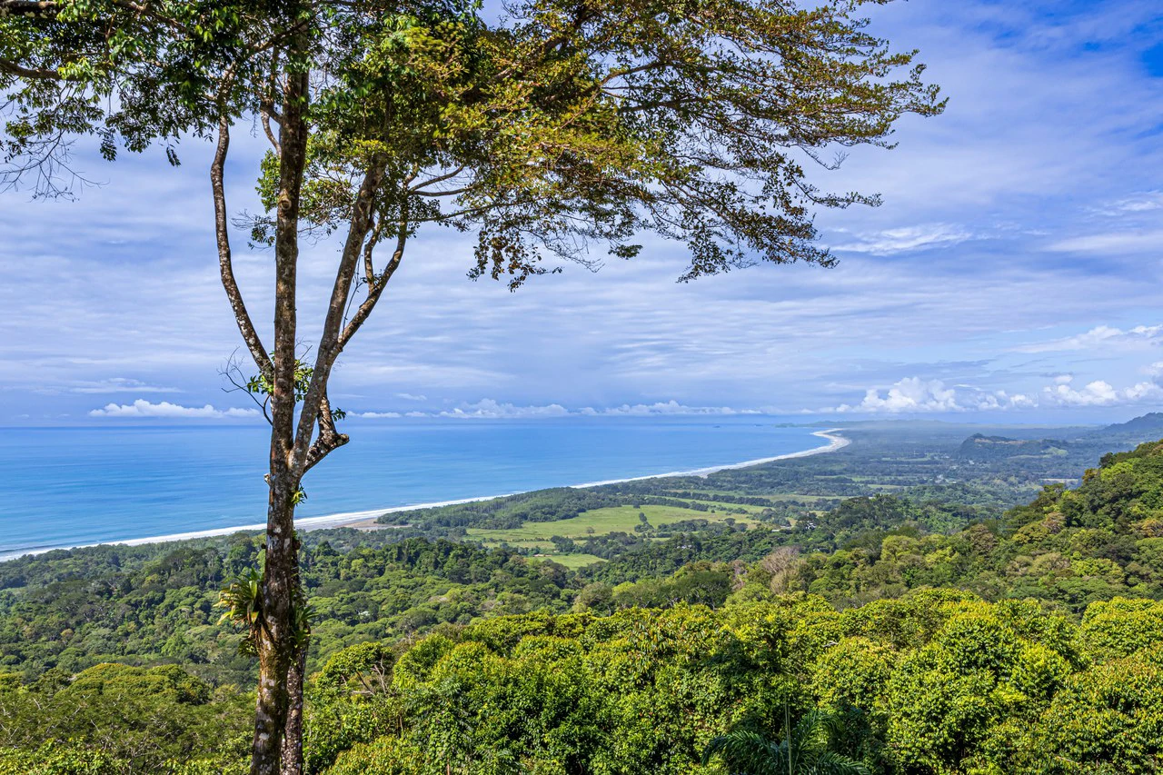 17 ACRES – 5 Bedroom Grand Estate, Guest House, SPECTACULAR VIEWS!!! - Gallery image 2