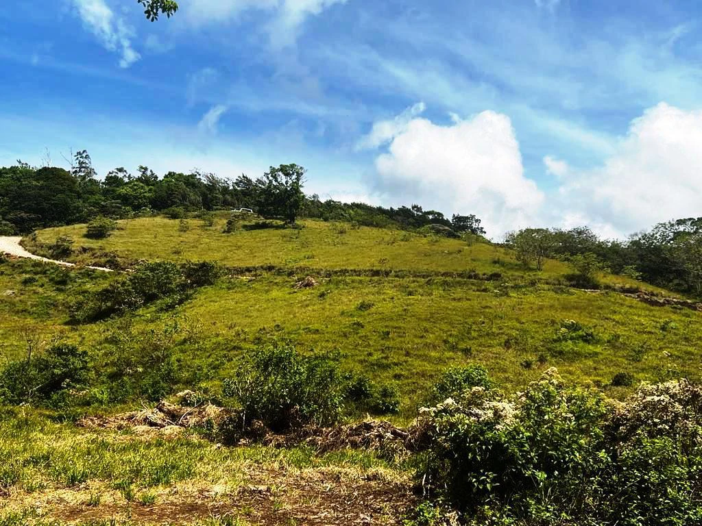 4.5 ha building land with fantastic lake view - Gallery image 10