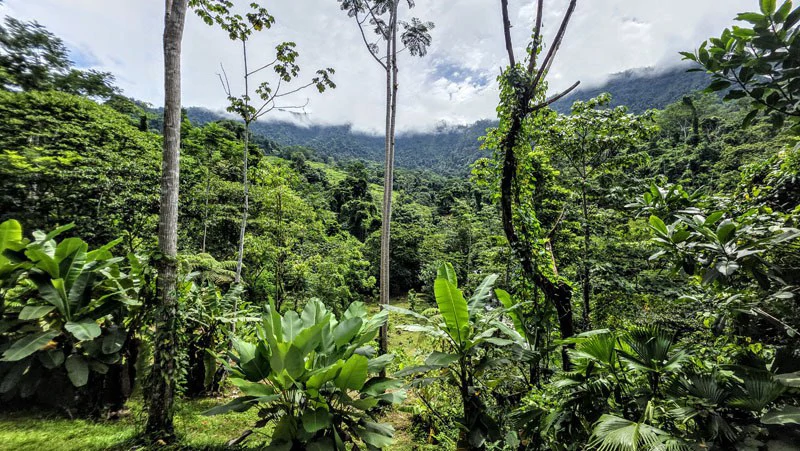 Waterfall Estate, Dos Bocas, Dominical Featuring Twin Waterfalls, Springs, Creeks & Rivers - Gallery image 38