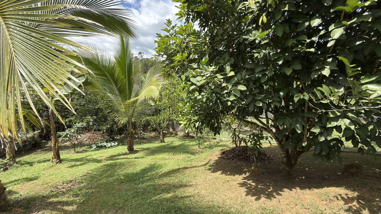 Countryside House For Sale in San Isidro del General - Gallery image 16