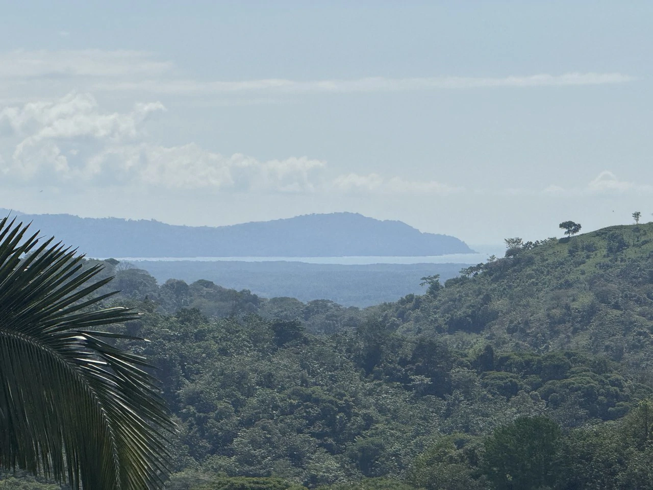 12 Acre Ocean View Farm in a Private Agricultural Community - Gallery image 17